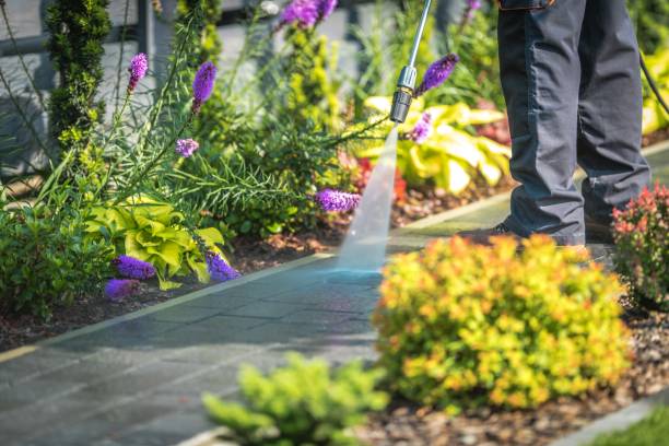 Best Spring Cleaning  in Canonsburg, PA